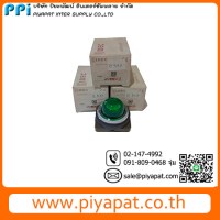 APN122DNG.2