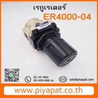 ER4000-04
