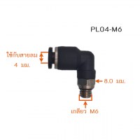 PL04-M6-4