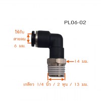 PL06-02-4