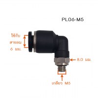 PL06-M5-4