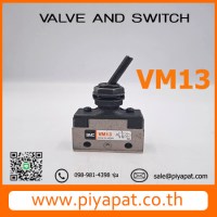 VM133