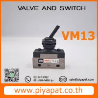 VM13
