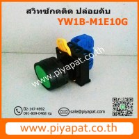 YW1B-M1E10G