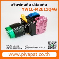YW1L-M2E11Q4G