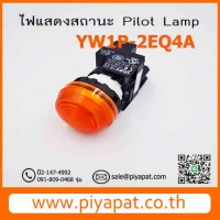 YW1P-2EQ4Aรูปโชว์